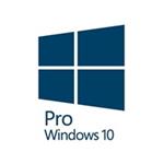 OEM Windows 10 Pro 64-Bit English 1PACK DVD